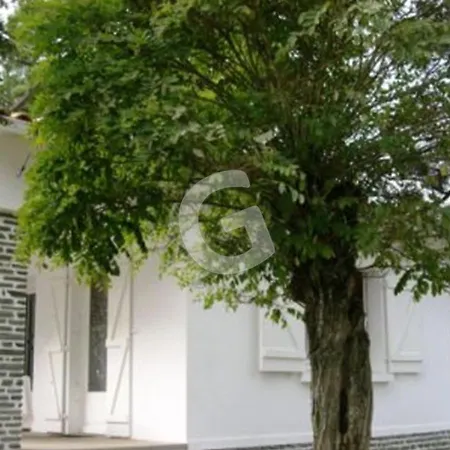 Maison Cosy A 200m De La Plage, Avec Jardin, Parking Et Ping-pong - Sur - Fr-1-357-66 *
